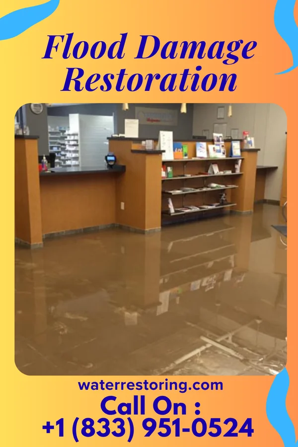 Flood Damage Restoration in Deepstep, GA