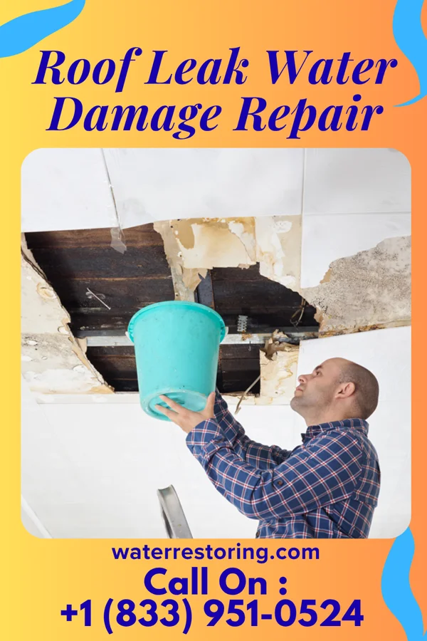 Roof Leak Water Damage Repair in Deepstep, GA