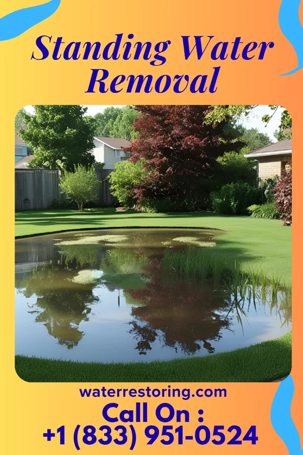 Standing Water Removal in Deepstep, GA
